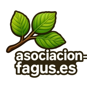 asociacion-fagus.es